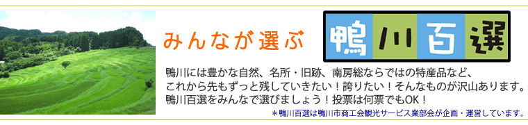 みんなが選ぶ『鴨川百選』。鴨川には豊かな自然、名所・旧跡、南房総ならではの特産品など、これから先もずっと残していきたい！誇りたい！そんなものが沢山あります。鴨川百選をみんなで選びましょう！投票は何票でもOK！＊鴨川百選は鴨川市商工会観光サービス業部会が企画・運営しています。