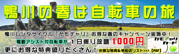 鴨川の春は自転車の旅。鴨川レンタサイクル『かもチャリ』お得な春のキャンペーン実施中！電動アシスト付自転車が１日乗り放題1000円。更にお得な特典盛りだくさん！
