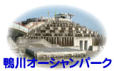 鴨川オーシャンパーク