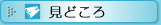 見どころ